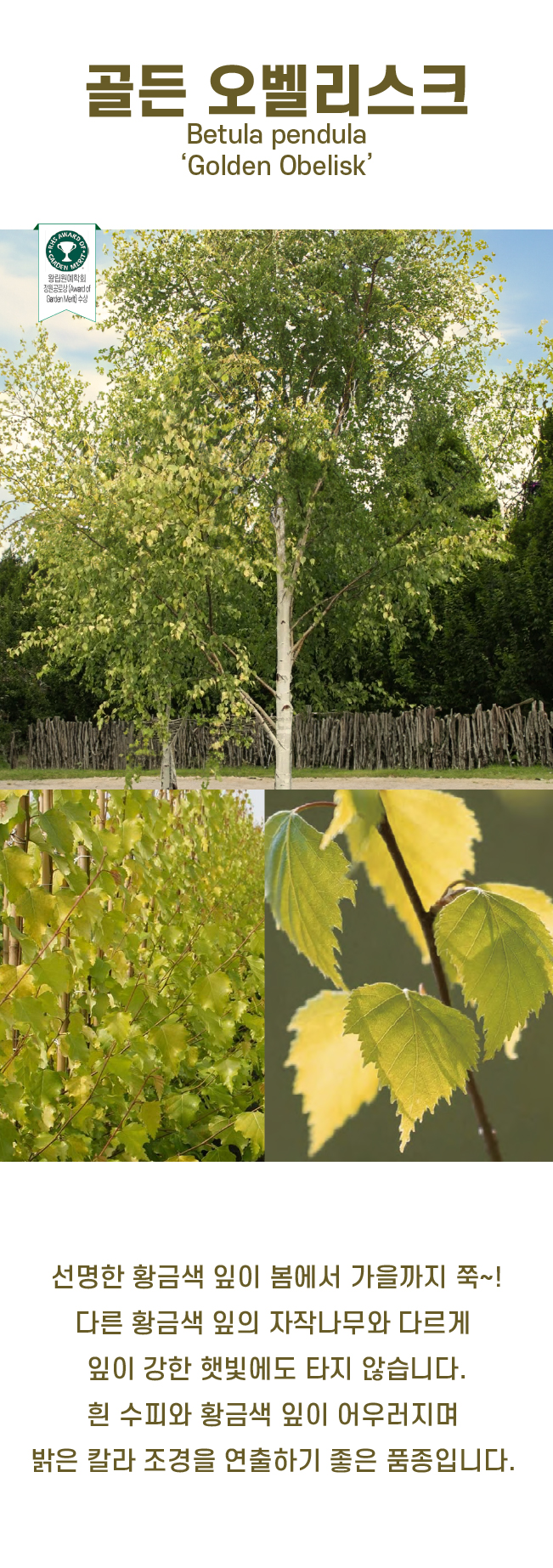 c57d1b420905a151fb1a5b0c6473e5a7_1740959291_1966.jpg c57d1b420905a151fb1a5b0c6473e5a7_1740959291_1966.jpg