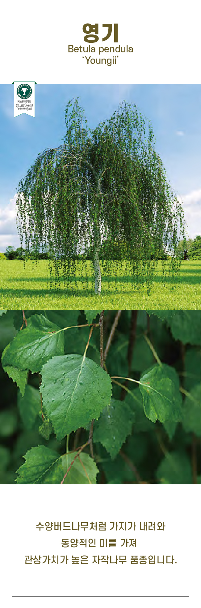 c57d1b420905a151fb1a5b0c6473e5a7_1740959291_5522.jpg c57d1b420905a151fb1a5b0c6473e5a7_1740959291_5522.jpg