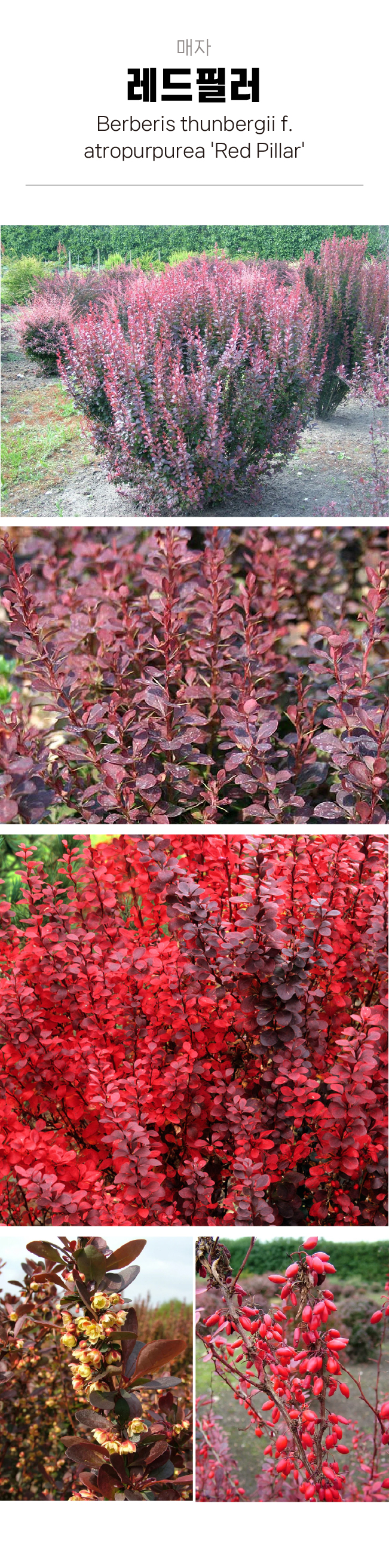 c16ba89c5f8ffb0970191a80a26c2164_1754016653_33.jpg c16ba89c5f8ffb0970191a80a26c2164_1754016653_33.jpg