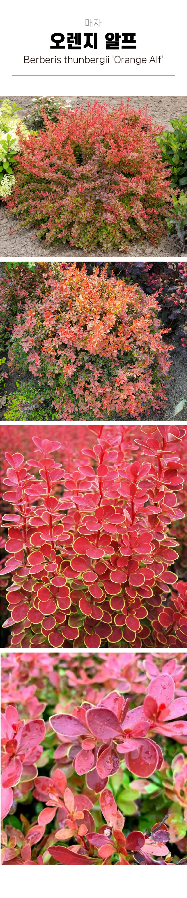 c16ba89c5f8ffb0970191a80a26c2164_1754016654_6001.jpg c16ba89c5f8ffb0970191a80a26c2164_1754016654_6001.jpg