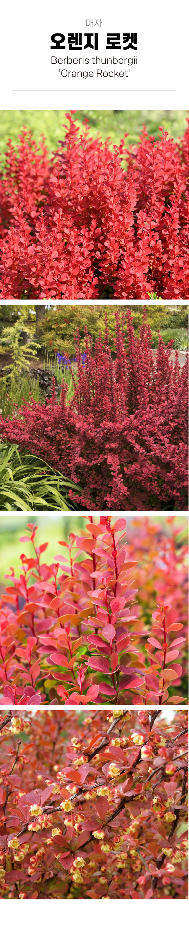 c16ba89c5f8ffb0970191a80a26c2164_1754016655_2096.jpg c16ba89c5f8ffb0970191a80a26c2164_1754016655_2096.jpg