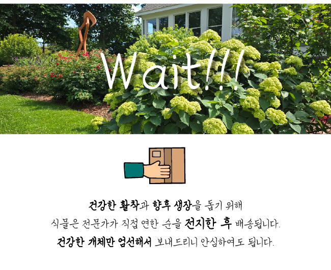 d64b41b95844860f2d00ec155aa6bea4_1765852620_339.jpg
