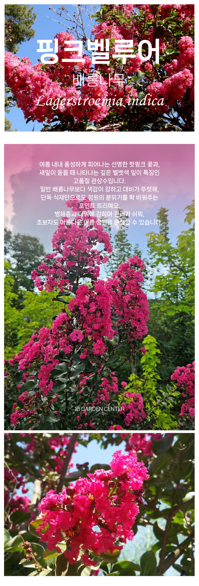 d64b41b95844860f2d00ec155aa6bea4_1765852628_0634.png