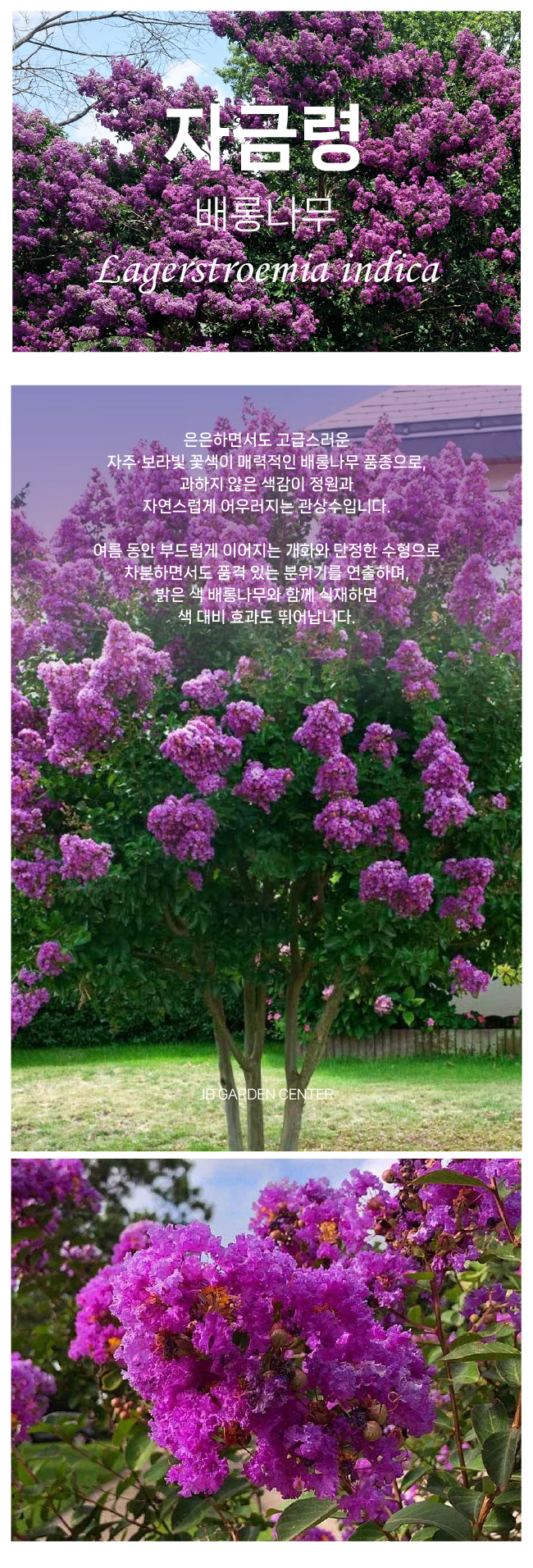 d64b41b95844860f2d00ec155aa6bea4_1765852643_051.png