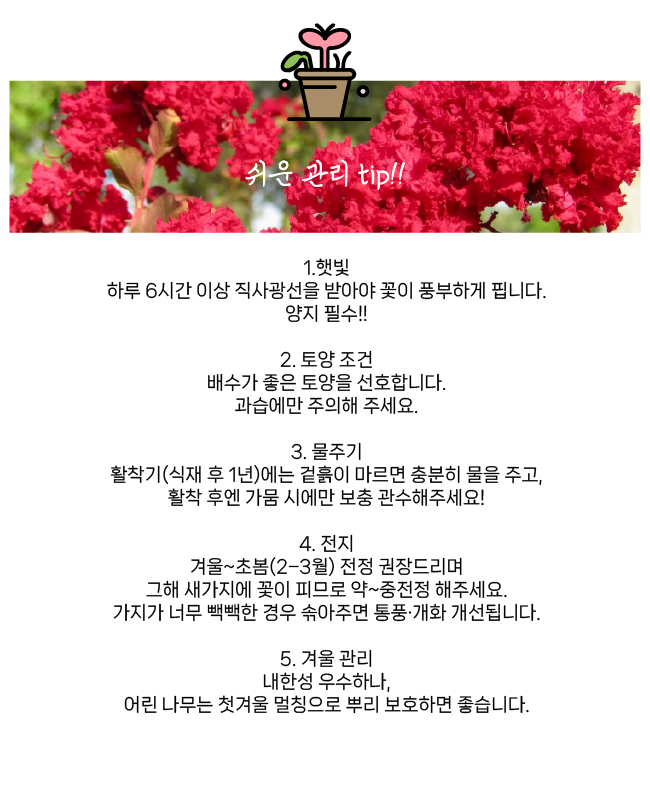 d64b41b95844860f2d00ec155aa6bea4_1765852647_3707.png