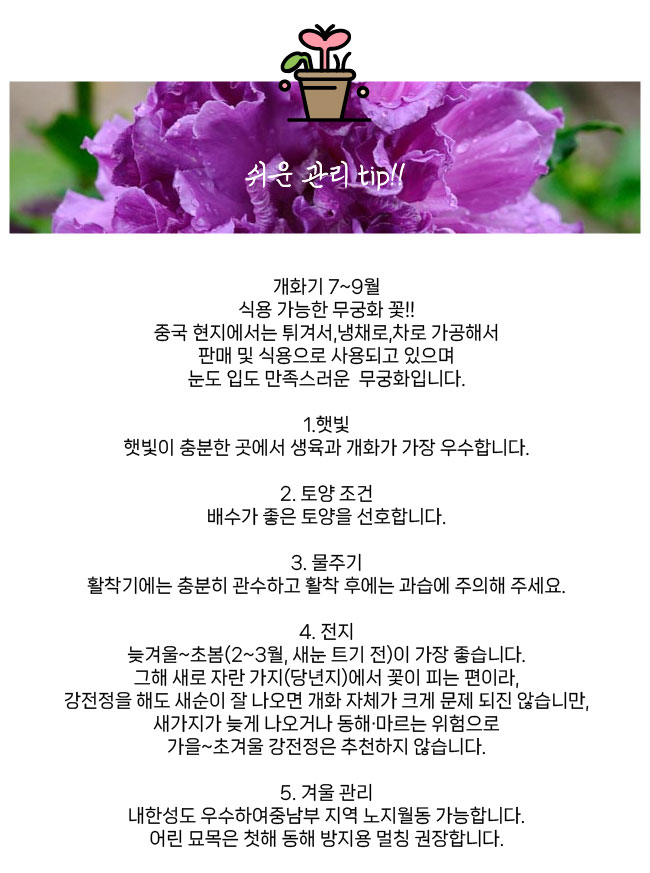 441e7dceb7fc5810395e043adad58aa2_1768262216_571.jpg 441e7dceb7fc5810395e043adad58aa2_1768262216_571.jpg