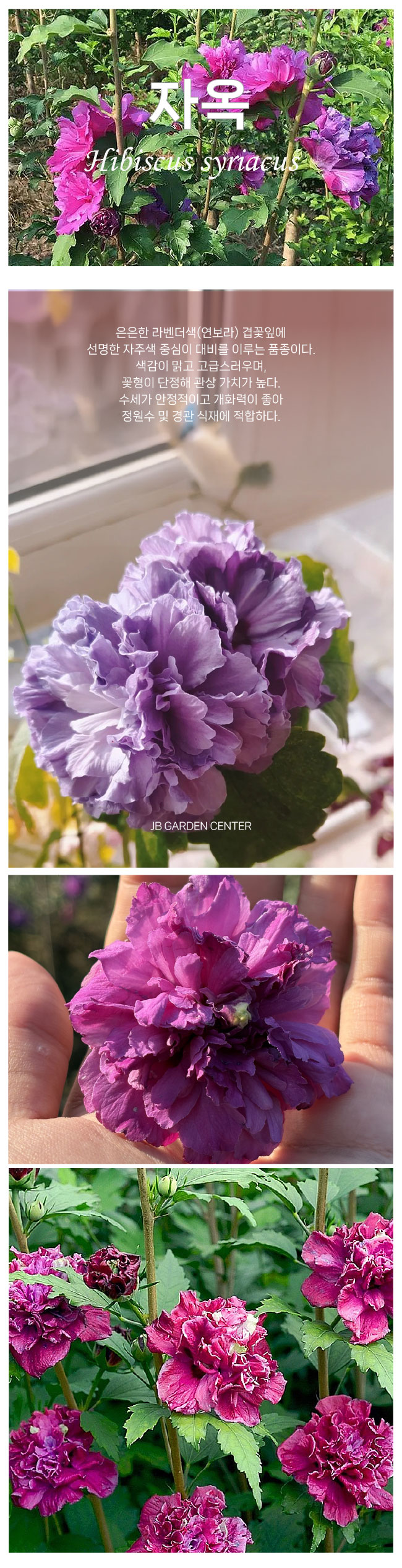 441e7dceb7fc5810395e043adad58aa2_1768262219_0785.jpg 441e7dceb7fc5810395e043adad58aa2_1768262219_0785.jpg