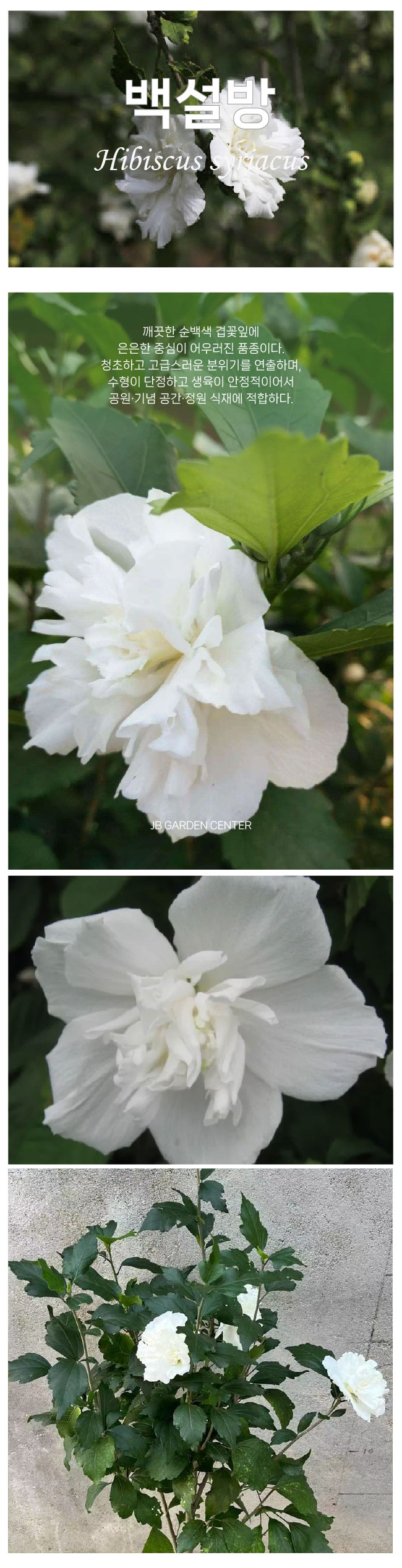 441e7dceb7fc5810395e043adad58aa2_1768262222_7472.jpg 441e7dceb7fc5810395e043adad58aa2_1768262222_7472.jpg