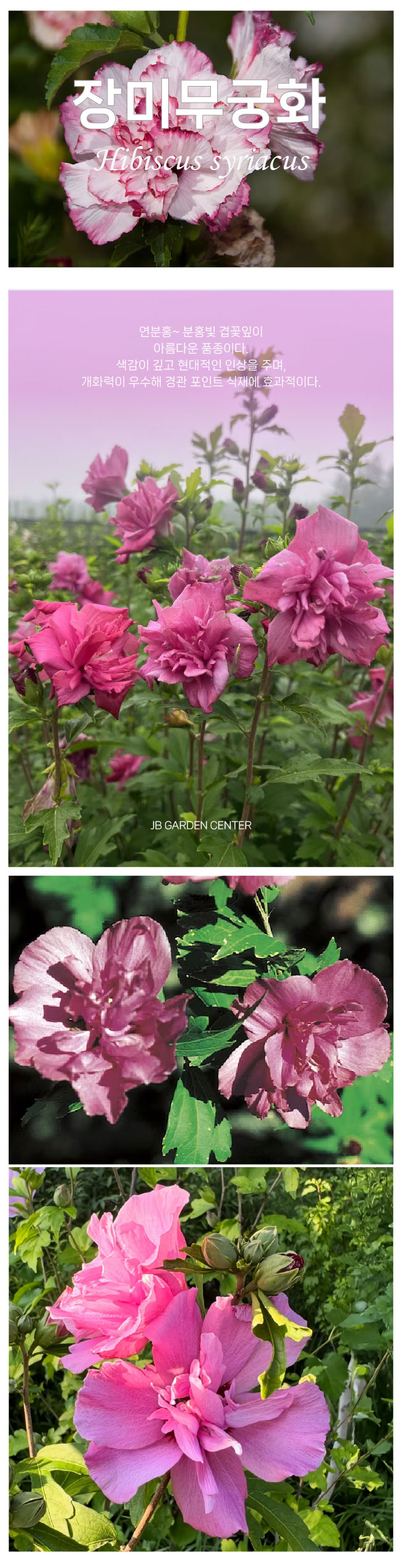 441e7dceb7fc5810395e043adad58aa2_1768262228_739.jpg 441e7dceb7fc5810395e043adad58aa2_1768262228_739.jpg