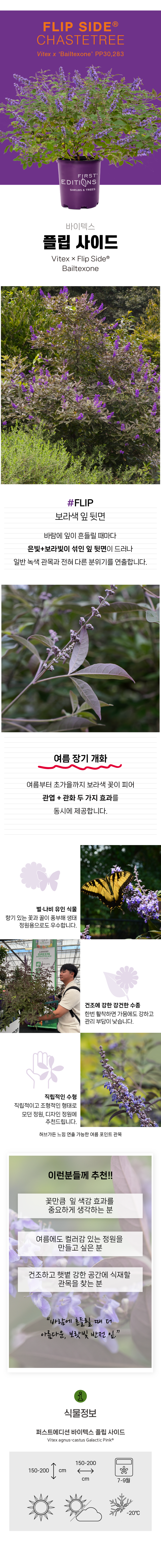 14043026d219161f8d60fab55a9d4d7b_1770344802_6057.png