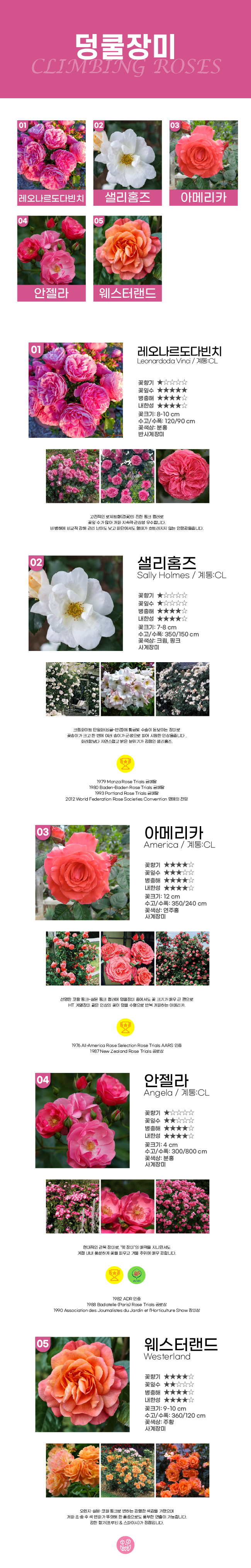 230609cf3f630fd335d9d6e64cca0655_1771805117_9697.jpg 230609cf3f630fd335d9d6e64cca0655_1771805117_9697_1771808639.jpg