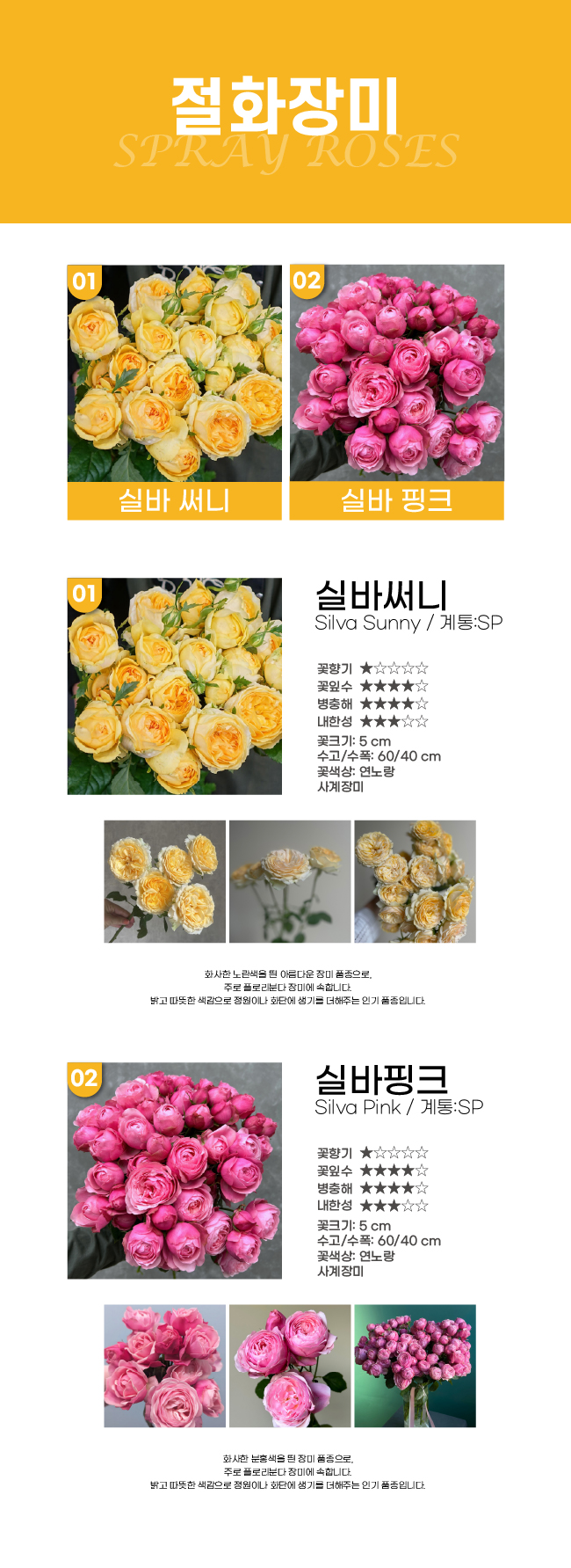 230609cf3f630fd335d9d6e64cca0655_1771805124_7675.jpg 230609cf3f630fd335d9d6e64cca0655_1771805124_7675_1771808639.jpg