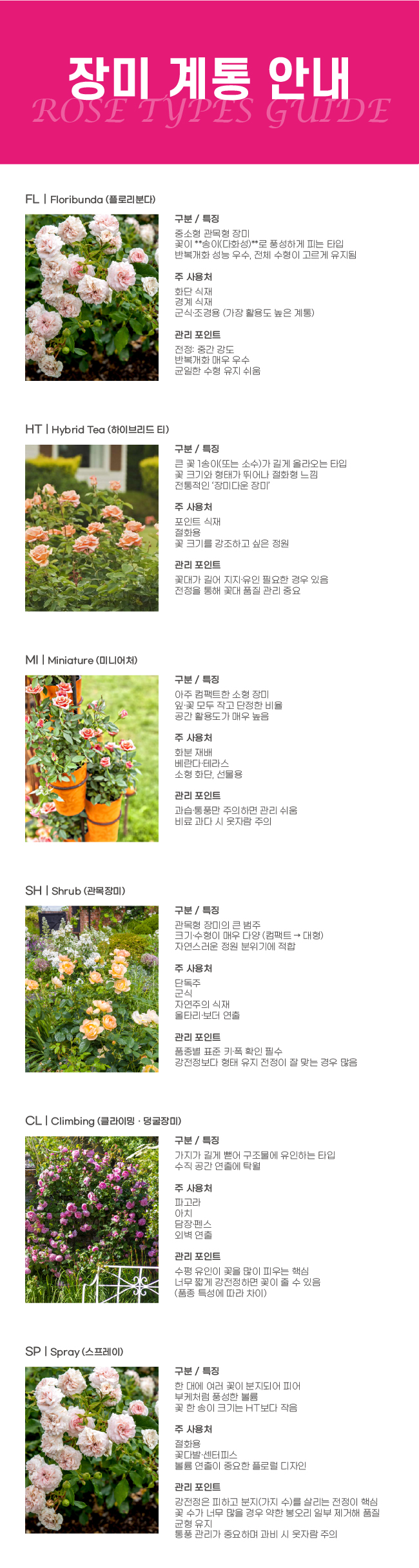 8359712175edc77b9cb8661c9eaa8854_1771929573_3609.jpg 8359712175edc77b9cb8661c9eaa8854_1771929573_3609.jpg