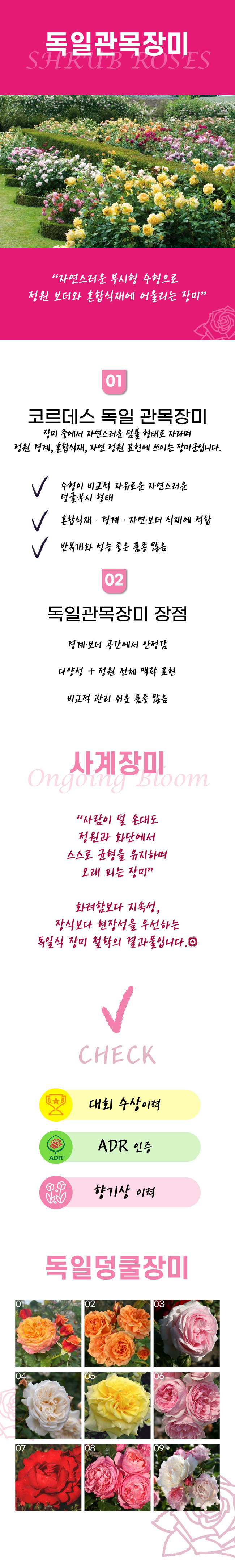 8359712175edc77b9cb8661c9eaa8854_1771929575_4843.jpg 8359712175edc77b9cb8661c9eaa8854_1771929575_4843.jpg