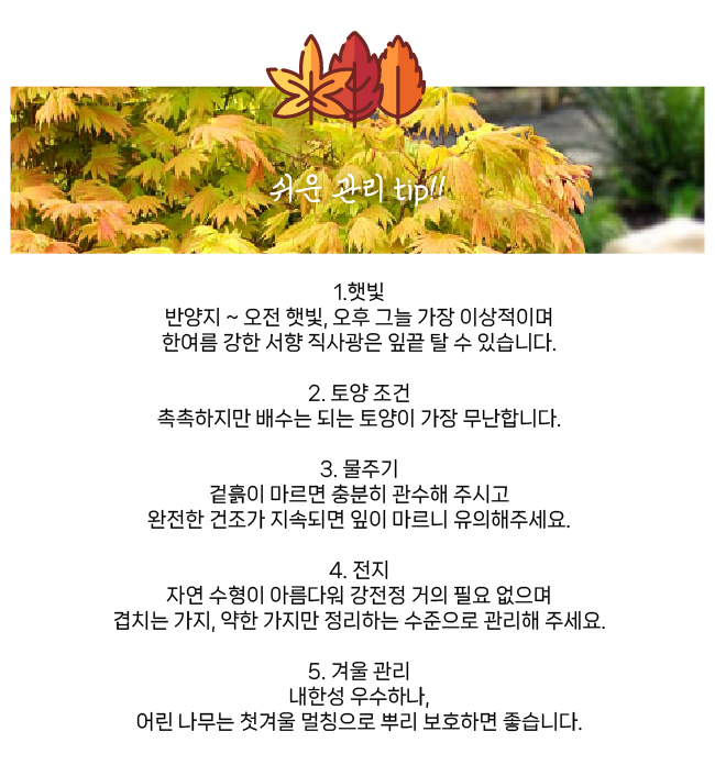 83b37c19198bfc84a223c35665a91579_1770958221_9009.jpg 83b37c19198bfc84a223c35665a91579_1770958221_9009.jpg