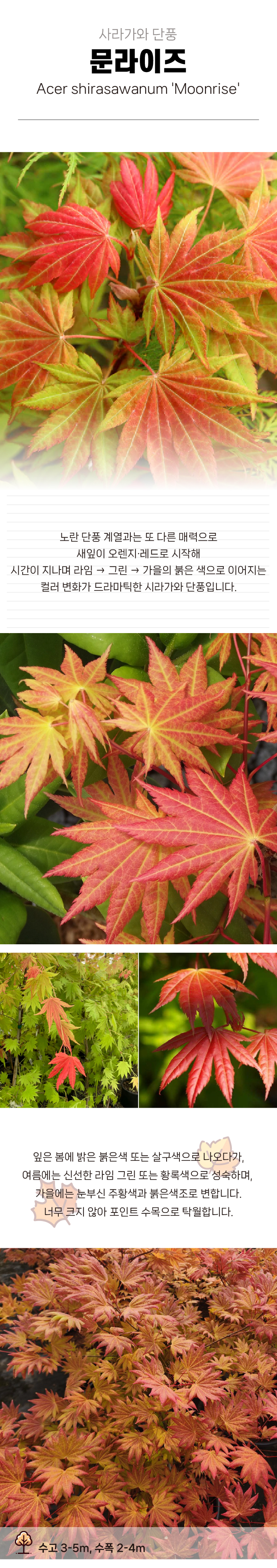 83b37c19198bfc84a223c35665a91579_1770958239_9642.jpg 83b37c19198bfc84a223c35665a91579_1770958239_9642.jpg