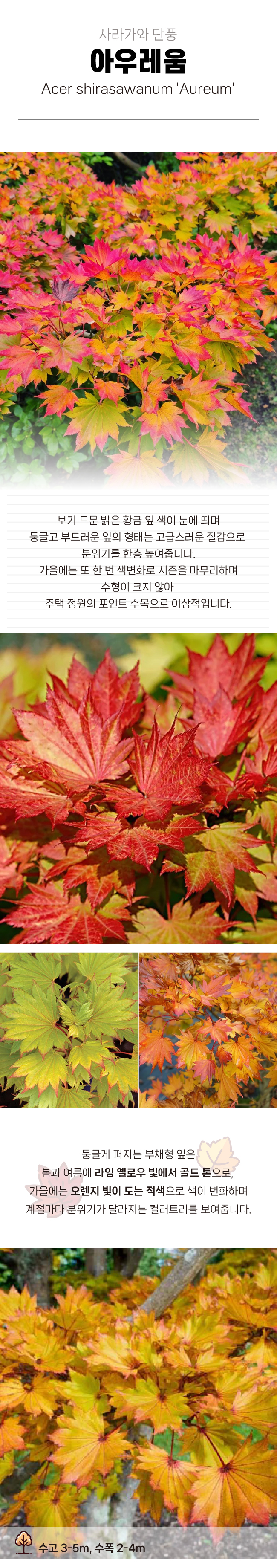 83b37c19198bfc84a223c35665a91579_1770958247_4301.jpg 83b37c19198bfc84a223c35665a91579_1770958247_4301.jpg