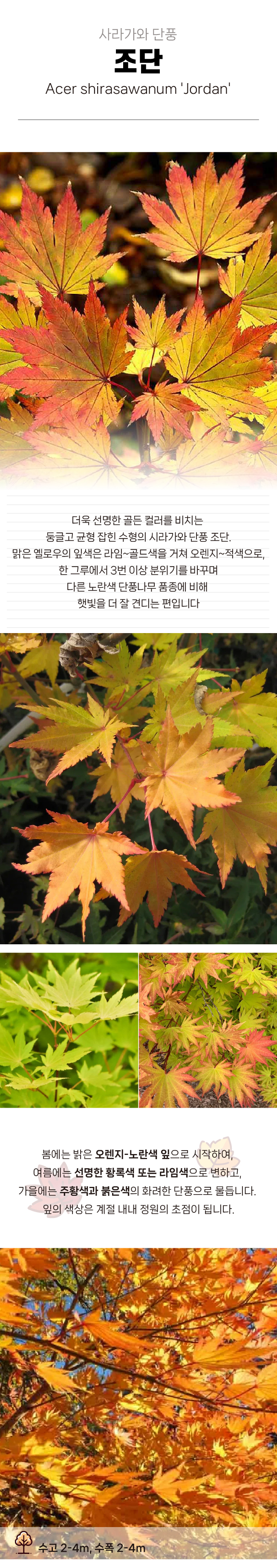 83b37c19198bfc84a223c35665a91579_1770958254_9946.jpg 83b37c19198bfc84a223c35665a91579_1770958254_9946.jpg