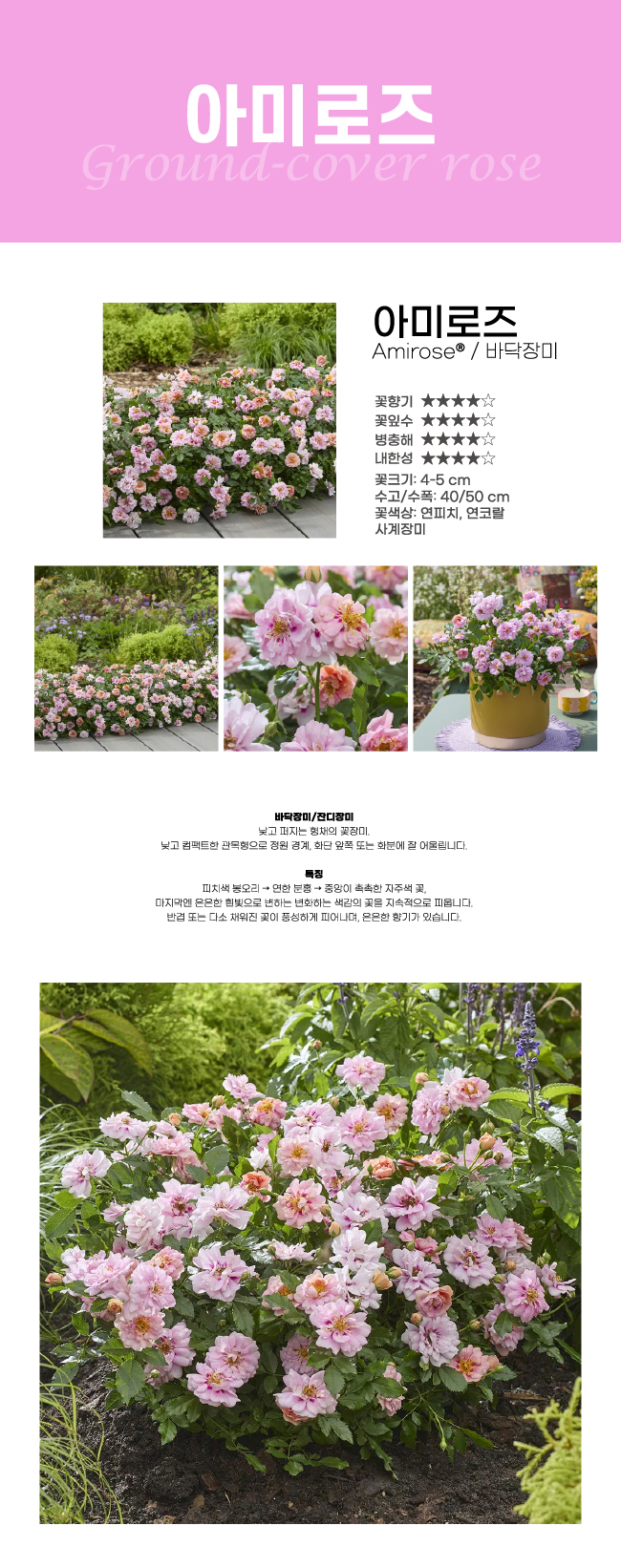 84f1c4e1f7f8d3b2fe64dfbbd7e4b416_1772148733_7555.jpg 84f1c4e1f7f8d3b2fe64dfbbd7e4b416_1772148733_7555.jpg