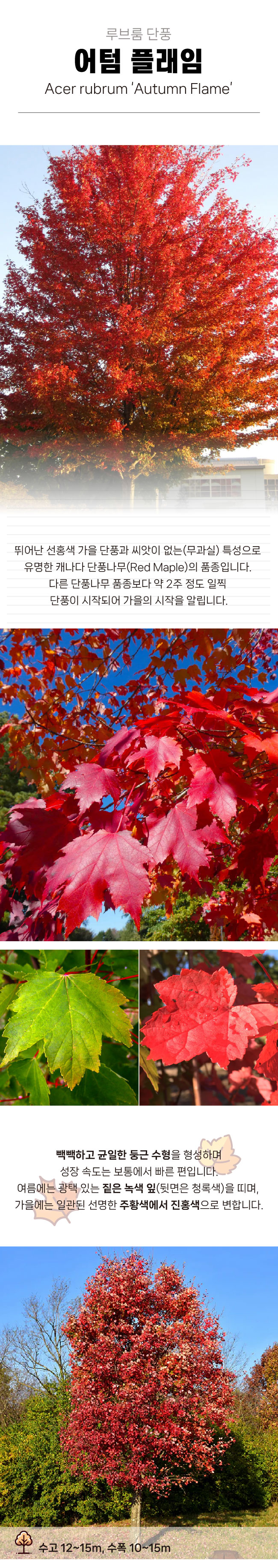 8661a33514c9ce2664c28a1dbd361e3f_1770277631_1541.jpg 8661a33514c9ce2664c28a1dbd361e3f_1770277631_1541.jpg