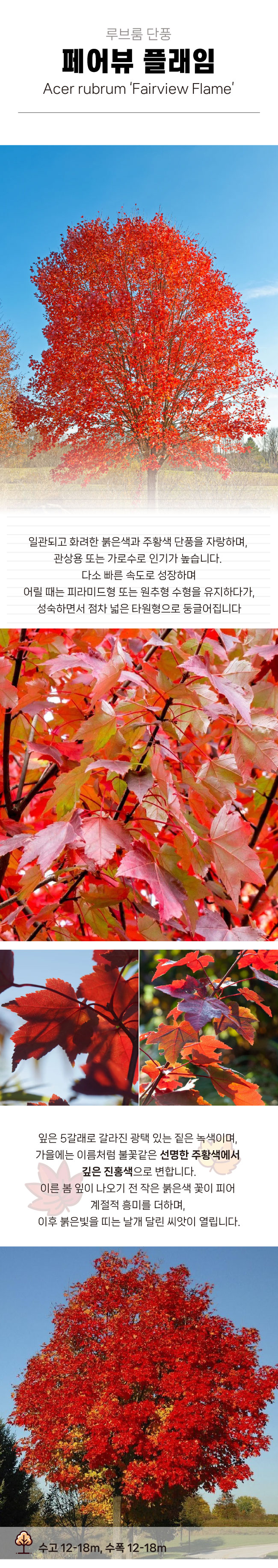 8661a33514c9ce2664c28a1dbd361e3f_1770277631_3297.jpg 8661a33514c9ce2664c28a1dbd361e3f_1770277631_3297.jpg