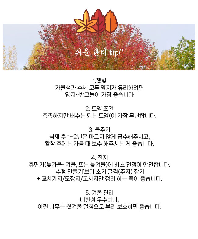 8661a33514c9ce2664c28a1dbd361e3f_1770277635_9751.jpg 8661a33514c9ce2664c28a1dbd361e3f_1770277635_9751.jpg