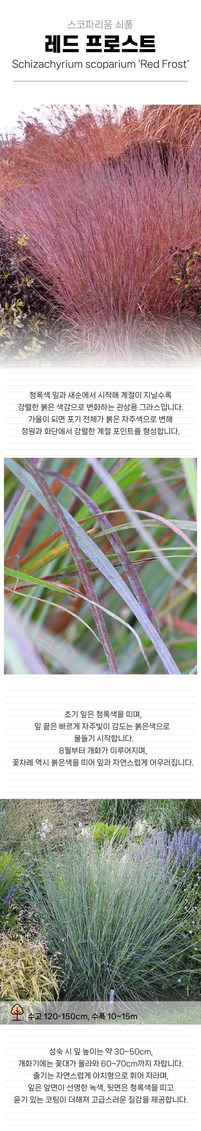 8661a33514c9ce2664c28a1dbd361e3f_1770278189_1187.jpg 8661a33514c9ce2664c28a1dbd361e3f_1770278189_1187.jpg