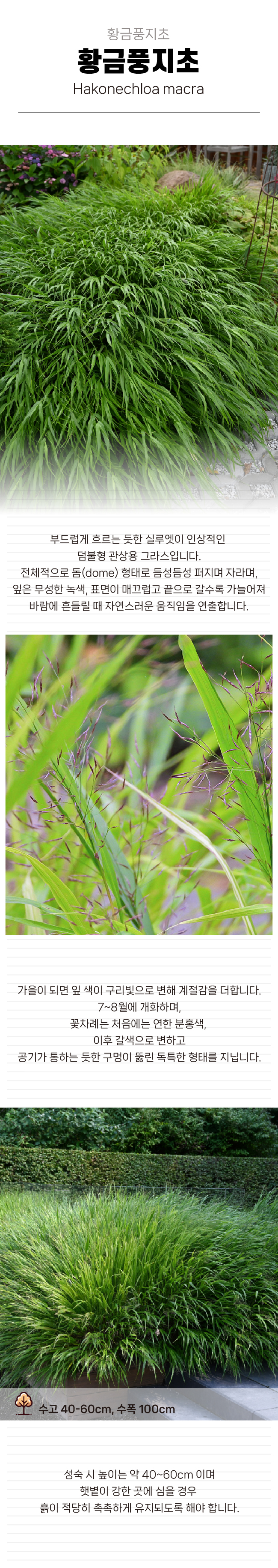 8f73a83ffc38fdd03f1c67eb5028a862_1770189238_2804.jpg 8f73a83ffc38fdd03f1c67eb5028a862_1770189238_2804.jpg