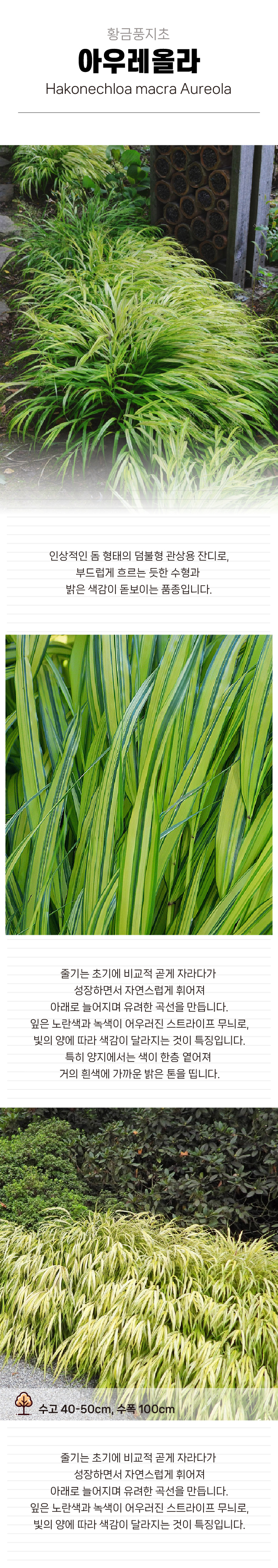 8f73a83ffc38fdd03f1c67eb5028a862_1770189240_8782.jpg 8f73a83ffc38fdd03f1c67eb5028a862_1770189240_8782.jpg