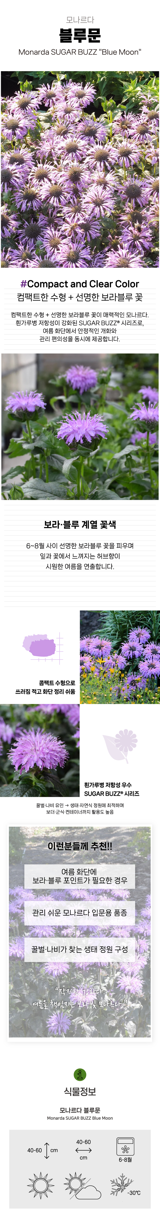 b12596714f3cc2680464caae35c68f90_1772092173_6813.jpg b12596714f3cc2680464caae35c68f90_1772092173_6813.jpg