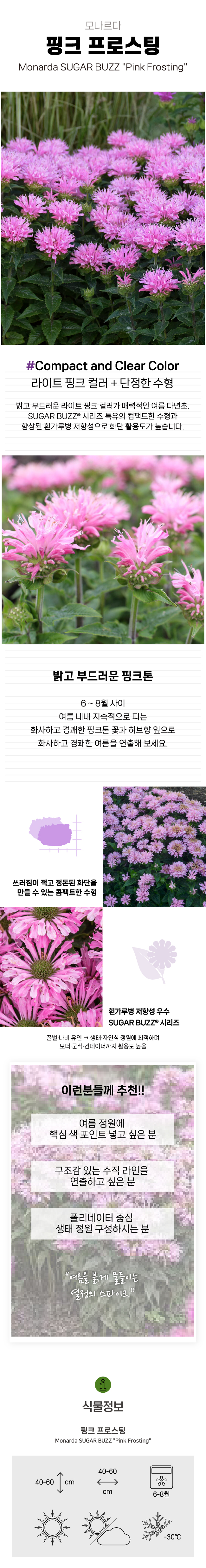 b12596714f3cc2680464caae35c68f90_1772092174_5446.jpg b12596714f3cc2680464caae35c68f90_1772092174_5446.jpg