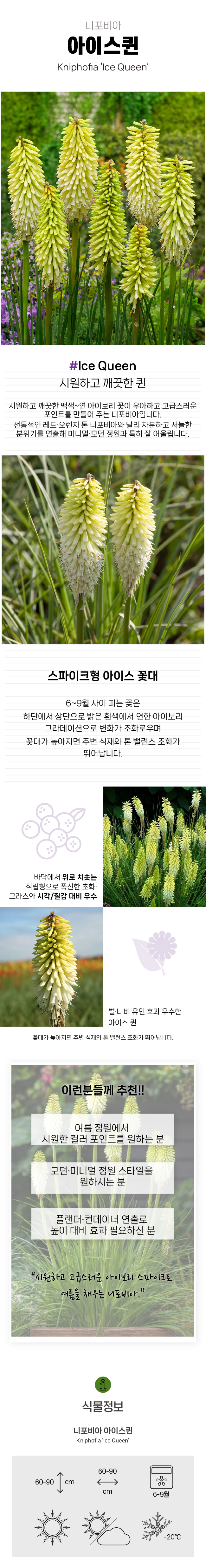 e78e526dfbe96973f9c335242ae8cda9_1771892320_738.jpg e78e526dfbe96973f9c335242ae8cda9_1771892320_738.jpg