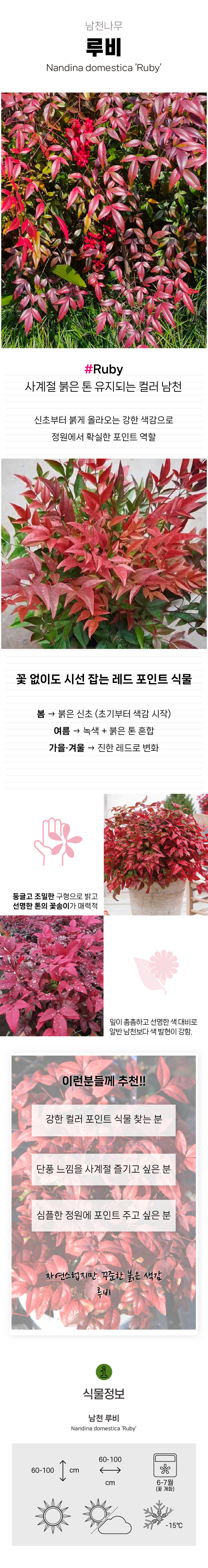 2264f6f26293aa05291e7c26adc1f9fe_1773982328_9436.jpg 2264f6f26293aa05291e7c26adc1f9fe_1773982328_9436.jpg