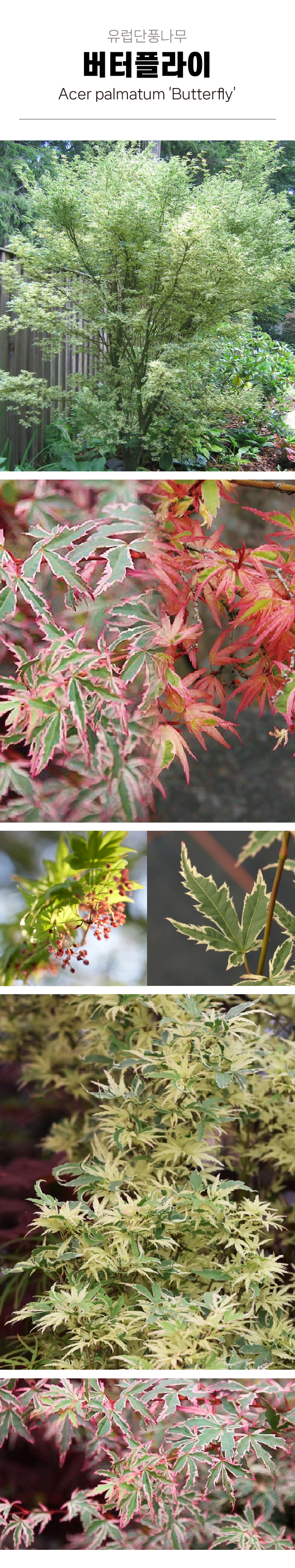 26131eb8089832215135bb4d83dbdbae_1772591839_5441.jpg 26131eb8089832215135bb4d83dbdbae_1772591839_5441.jpg