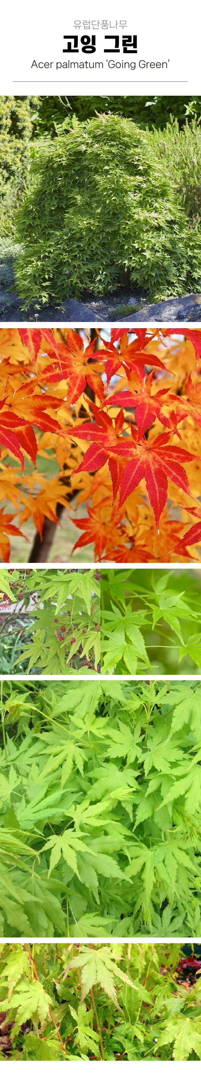 26131eb8089832215135bb4d83dbdbae_1772591840_5216.jpg 26131eb8089832215135bb4d83dbdbae_1772591840_5216.jpg