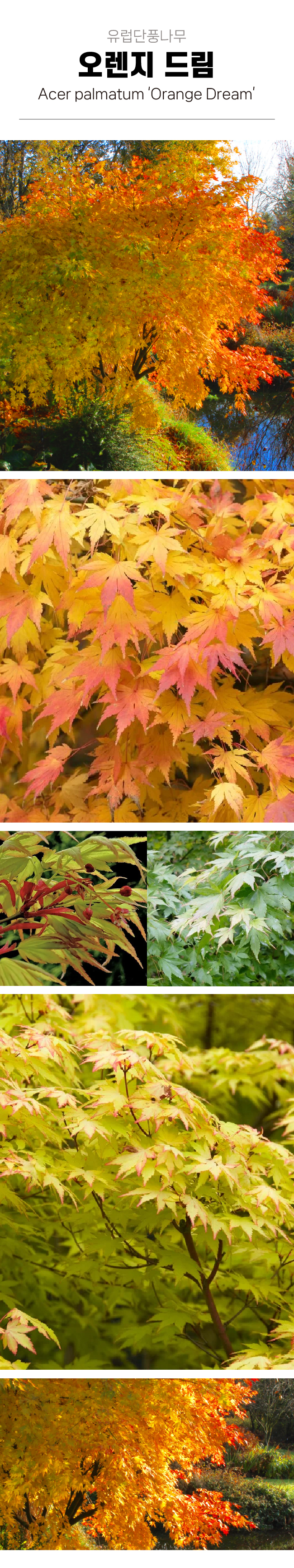 26131eb8089832215135bb4d83dbdbae_1772591840_857.jpg 26131eb8089832215135bb4d83dbdbae_1772591840_857.jpg