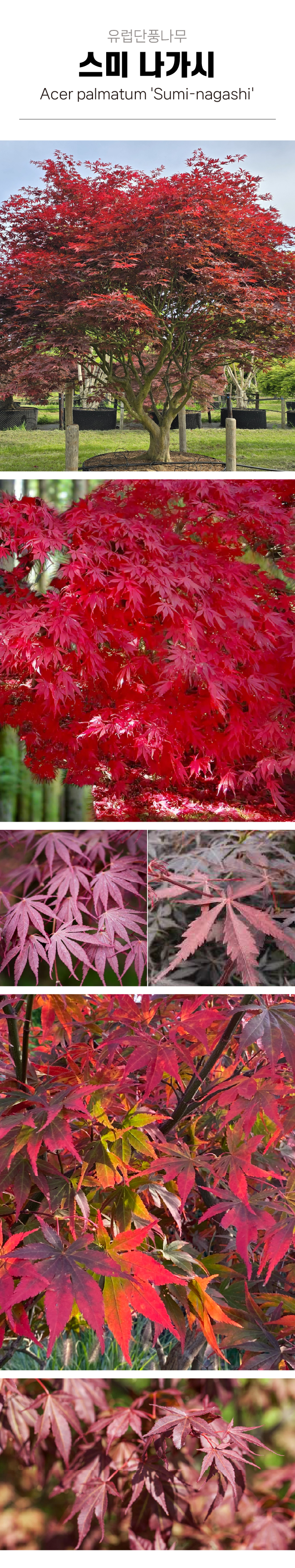 26131eb8089832215135bb4d83dbdbae_1772591841_7786.jpg 26131eb8089832215135bb4d83dbdbae_1772591841_7786.jpg