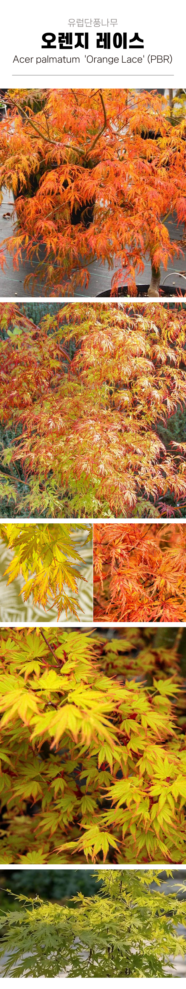 26131eb8089832215135bb4d83dbdbae_1772591842_4813.jpg 26131eb8089832215135bb4d83dbdbae_1772591842_4813.jpg