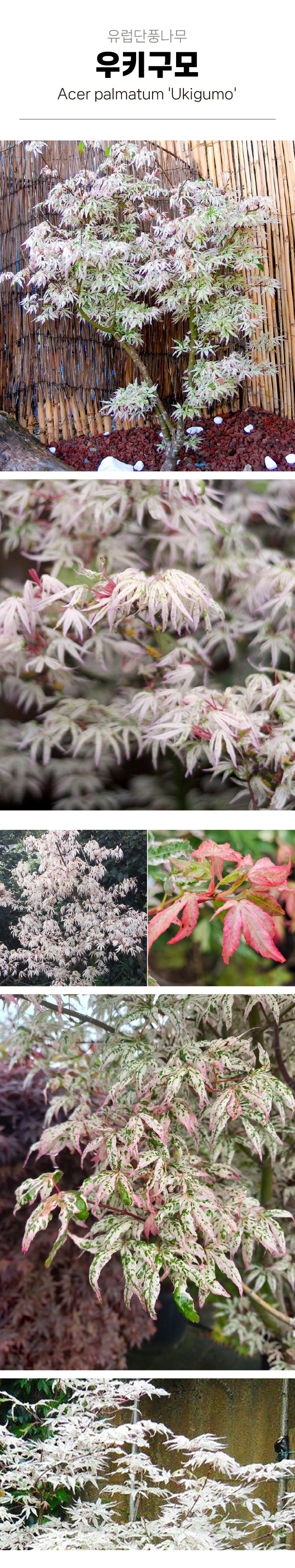 26131eb8089832215135bb4d83dbdbae_1772591843_0519.jpg 26131eb8089832215135bb4d83dbdbae_1772591843_0519.jpg