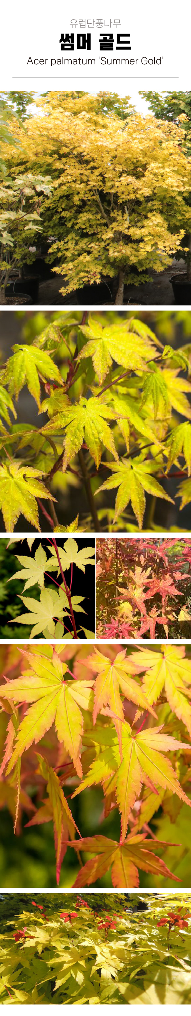 26131eb8089832215135bb4d83dbdbae_1772591843_3473.jpg 26131eb8089832215135bb4d83dbdbae_1772591843_3473.jpg