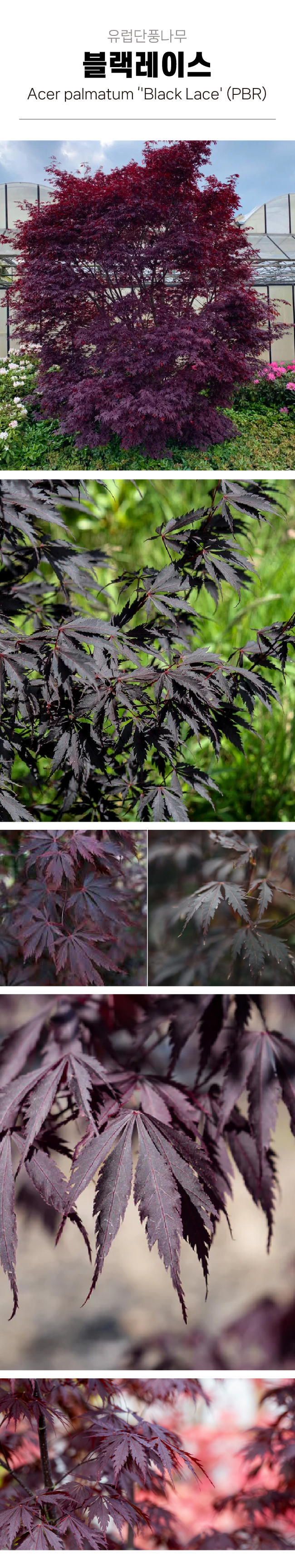 26131eb8089832215135bb4d83dbdbae_1772591862_0174.jpg 26131eb8089832215135bb4d83dbdbae_1772591862_0174.jpg