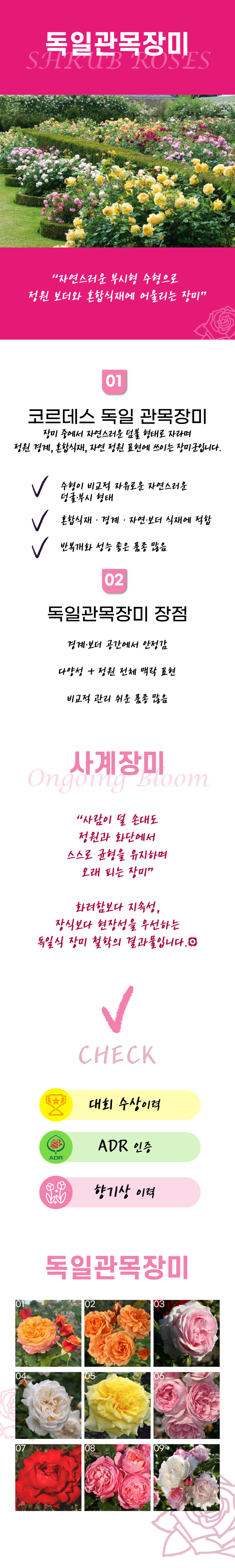 a556047a0cbeb5a11afa83d3dd9ab8e2_1772753930_1443.jpg a556047a0cbeb5a11afa83d3dd9ab8e2_1772753930_1443.jpg