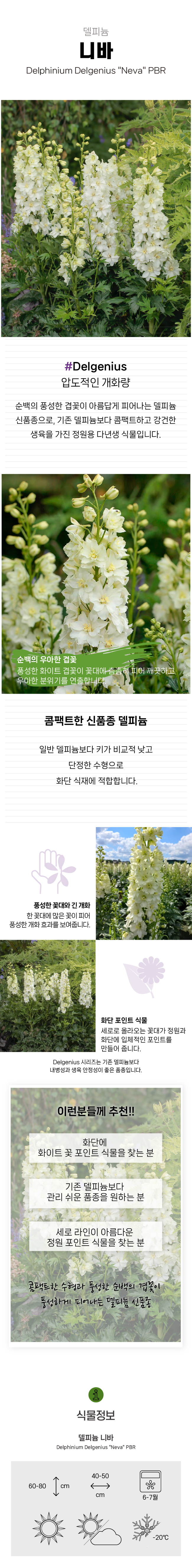 e990fe375718747f6e0e40a3814745a2_1773042460_4503.jpg e990fe375718747f6e0e40a3814745a2_1773042460_4503.jpg